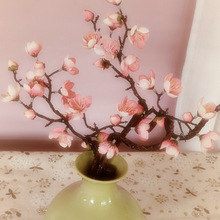 �¿��÷���辰�[�� ѩ���U�ٻ�ֲ��͏d�쾰�����b����[�O