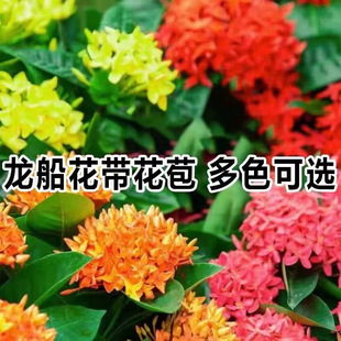 ��������������ͥԺ���@�҃��̨�ļ��_��ֲ�ｑ�򻨻ܾGֲ����B