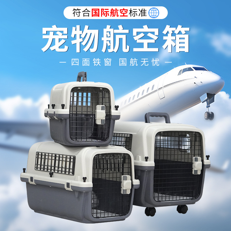 Pet Air Case Air China Cat Bag Dog Cage Portable Out Cat Space Capsule Small and Medium Dog Consignment Air Case