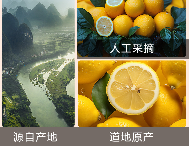 Dried Lemon Slices (Citrus limon) — Freeze-Dried Fruit Tea, 45g Jar in use