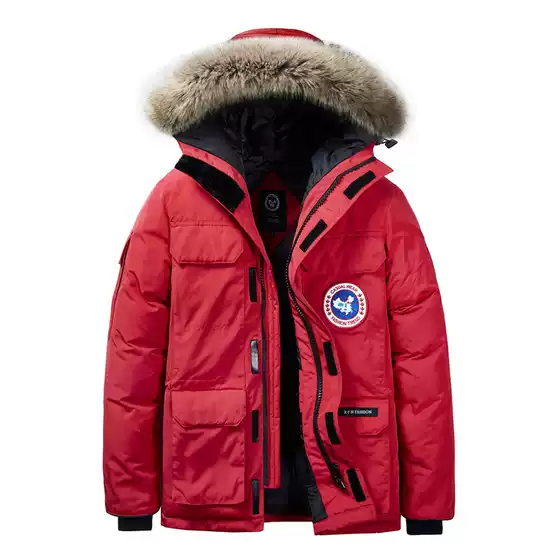 2023 winter new cotton-padded clothes wholesale thick plus fat plus size loose thick warm trend hooded cotton-padded jacket