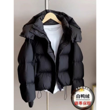 qqŮ̿2025¿n挒ɕrбůСӼӺ