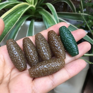 ��Ȼ�½������� ��ĩ�� ���� ���� ʯ�N�y �Ϲ��� Ͱ�� ��� ���