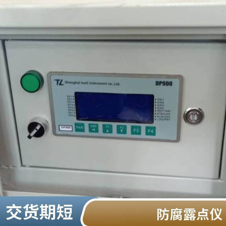 DP500露点测试装置 便携式氮气露点仪德国CS INSTRUMENTS