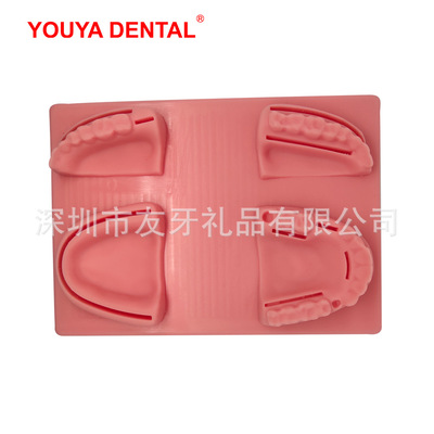口腔缝合练习模型医学生用品缝针仿真牙齿模块手术训练工具器械包|ms