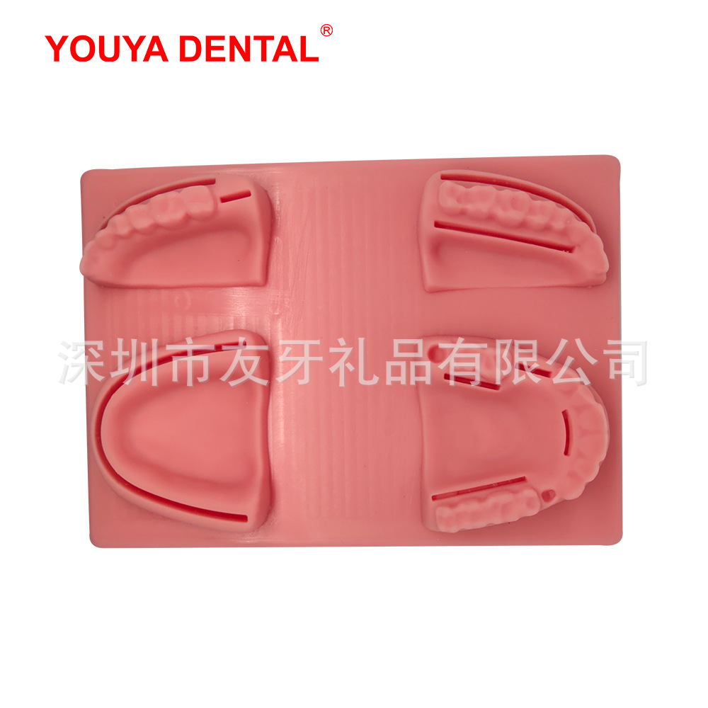 口腔缝合练习模型医学生用品缝针仿真牙齿模块手术训练工具器械包|ms