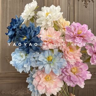 3�^ܽ��ĵ���� ��ɫϵ���滨��c���滨��Y�þƵ�ܛ�b�廨���Ļ�