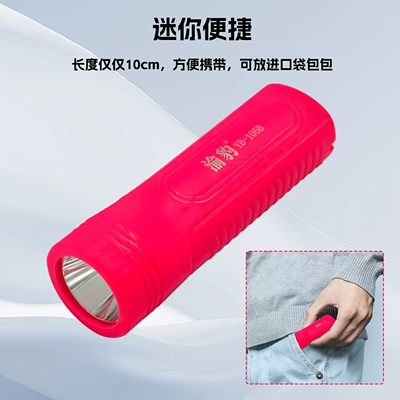 Burst Bright Long Range Outdoor | UV fənərlər