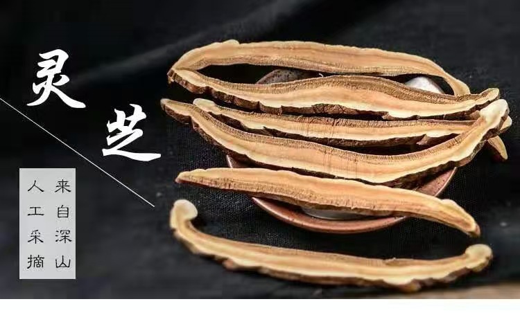 Reishi Mushroom Slices (Ganoderma lucidum) — Changbai Mountain Dried Lingzhi for Tea, Soup & Wine overview