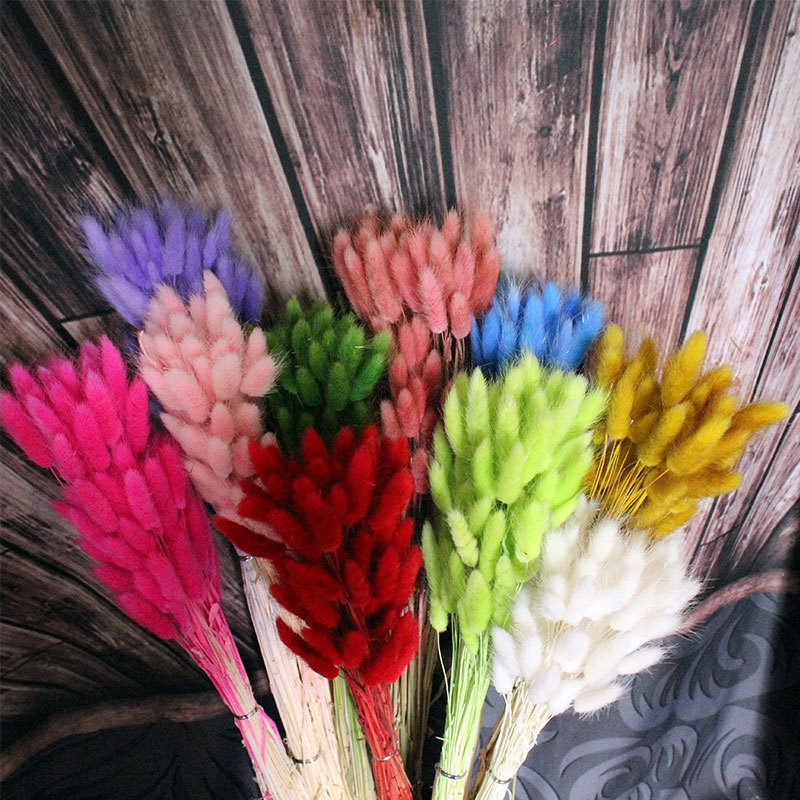 11868247559_511691582