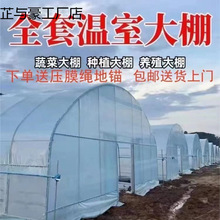 Ǽ䓹߲˱طNֲBֳݮAﶨ.ȫ