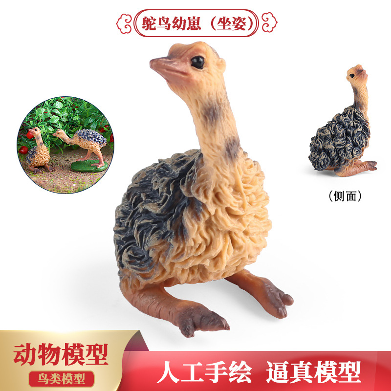 跨境花园庭院摆件仿真鸵鸟幼崽玩具模型玩偶儿童认知野生动物教具