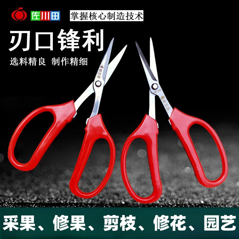 佐川田936不锈钢稀果剪翘头剪刀蔬花摘果剪家用园艺新款花园剪刀