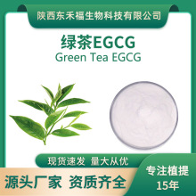 绿茶EGCG98%绿茶提取物EGC表没食子儿茶素没食子酸酯100g/袋