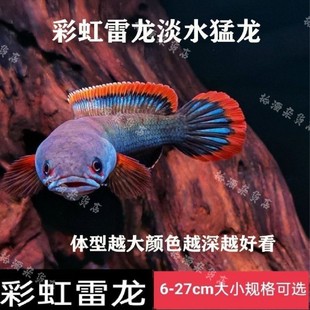�ʺ������~С�����͵�ˮ�~���^�p�~��ˮ�^�p�~���B