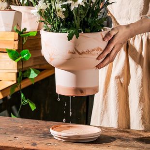 ����������͹�͸�⻨������m���ⱱ�W�t���̨��̖�؟�������