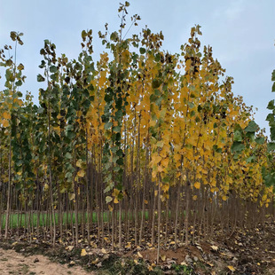 ���س���3-4���֟o������� ����107���������3804�����