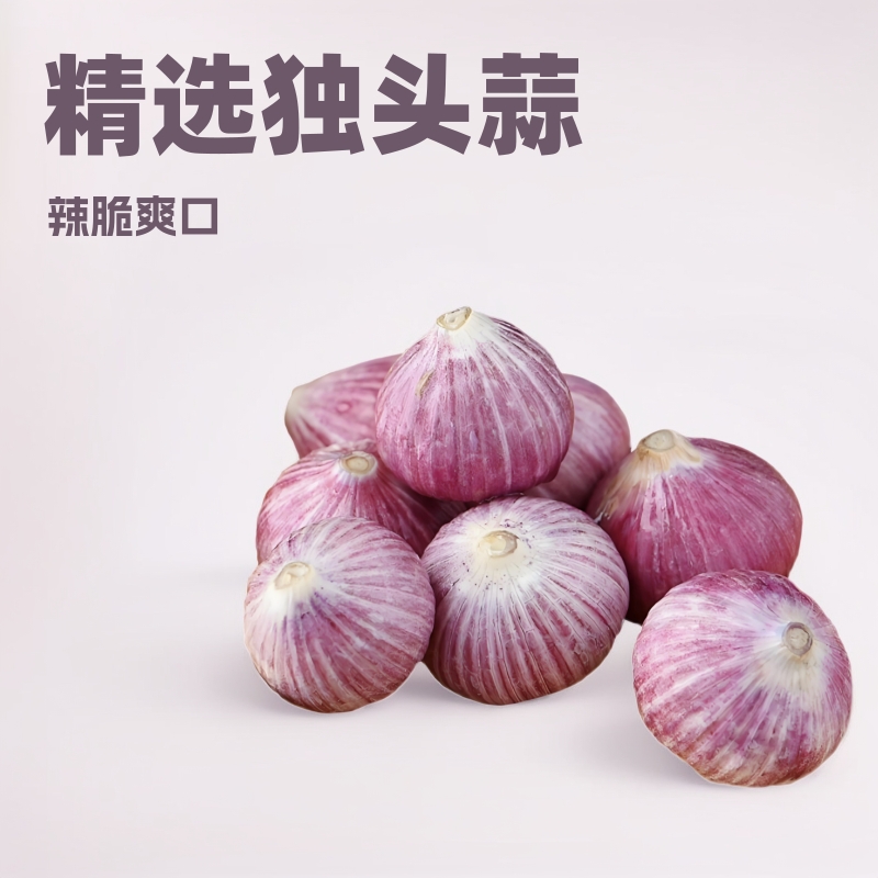 云南干独蒜果蔬批发2024年头批发独头蒜批发独头蒜一件代发
