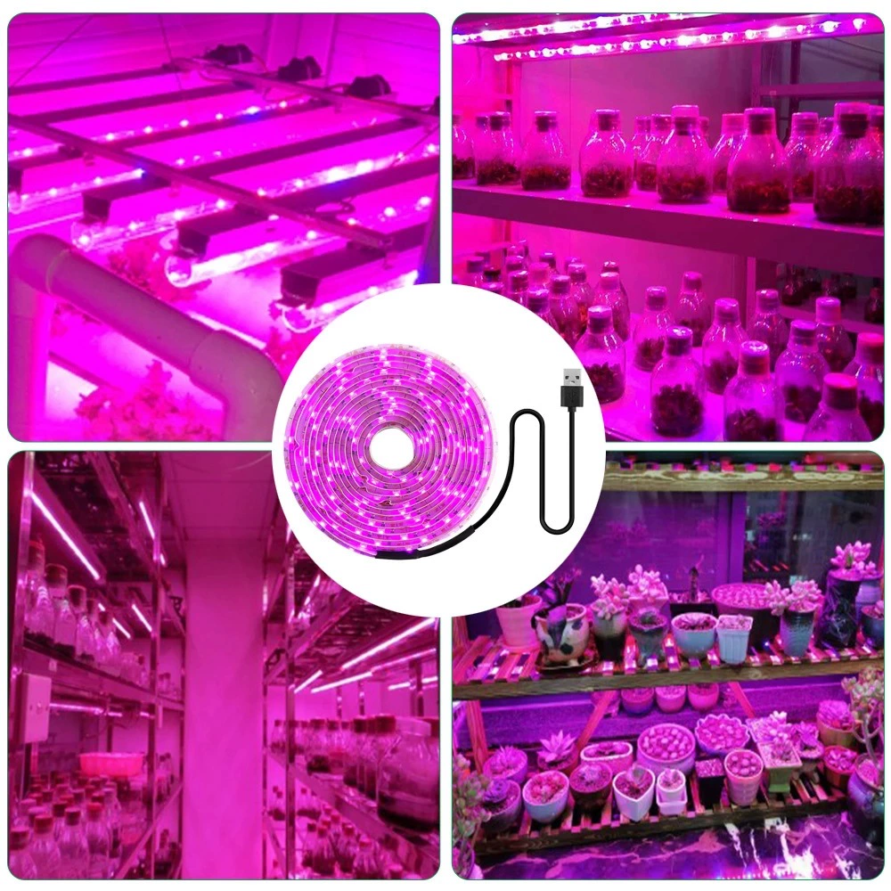 LED plant lamp, light strip, fill light, (Cross-border trading), 5v, comfortable light spectrum