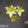 3 leafless lily
