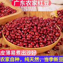 �V�|�tС���r���ԷN�t��޲������s�Z�ؼ�С�t����؛�����ɳ�ʸ�