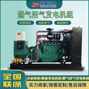 30kw�Ӛ�ȼ��l늙C�M50kw75KV100KW120kw150KW��ȼ����ðl늙C