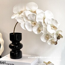 �S��ֱ�NƷ��ˇ���P�bмٻ��[��С���ٻ���ƿ�����m�����F�z