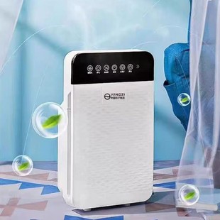 Yangzi Household Air Purifier Pet Hair Suction Negative Ion Dust Suction Formaldehyde Removal Artifact Indoor Multi-Function