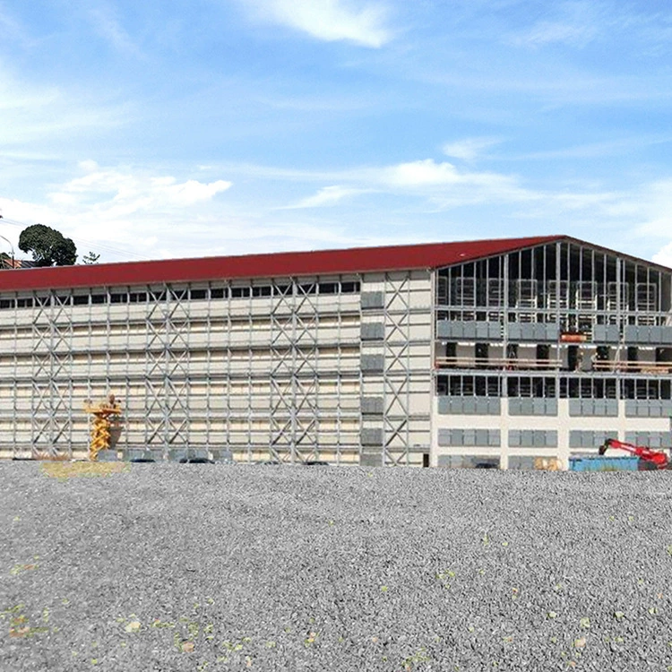 Стальная конструкция Инженерная экспортная компания берет на себя строительство и монтаж Быстро стоимость низкой изоляции стальной структуры курятник