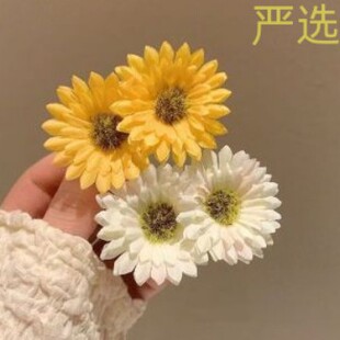 �n���¿�������Ů̫ꖾ�����A��߅�A�Շ������յ����^���A�Ӱl�