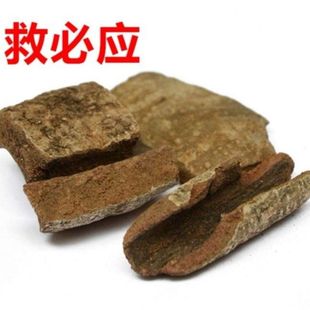 �ȱؑ� ���m�� ���y��Ƥ ����ľ �F������]��؛��؛