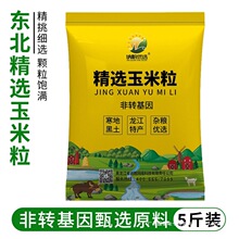 ��؛�r����ʽ���������s�Z��~��Cι�u���Z���ӷ��D����Ⱥľ