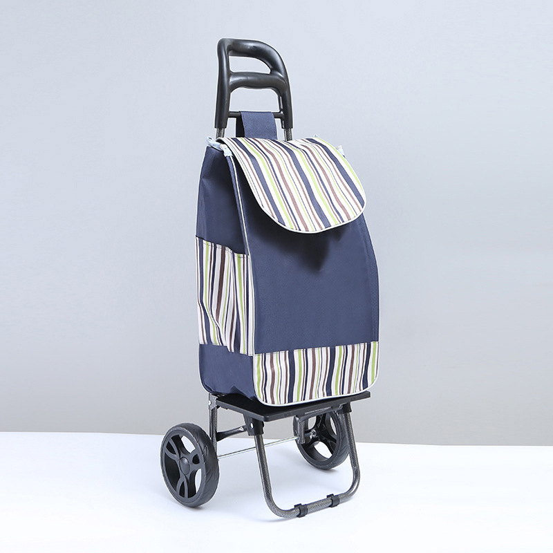 Supermercado portátil plegable carrito de compras Carro de escalada simple anciano carrito de compras de mano al por mayor