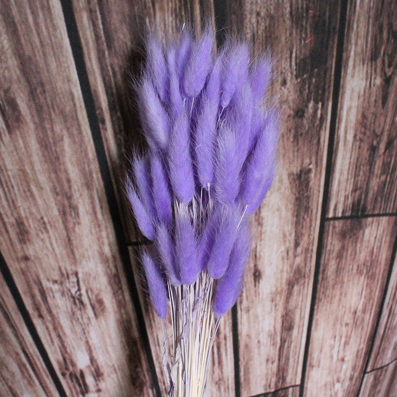 11900831149_511691582