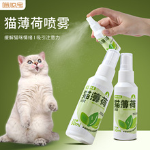 新款猫薄荷喷雾 薄荷草香水喷剂逗猫自嗨猫玩具诱导剂现货批发