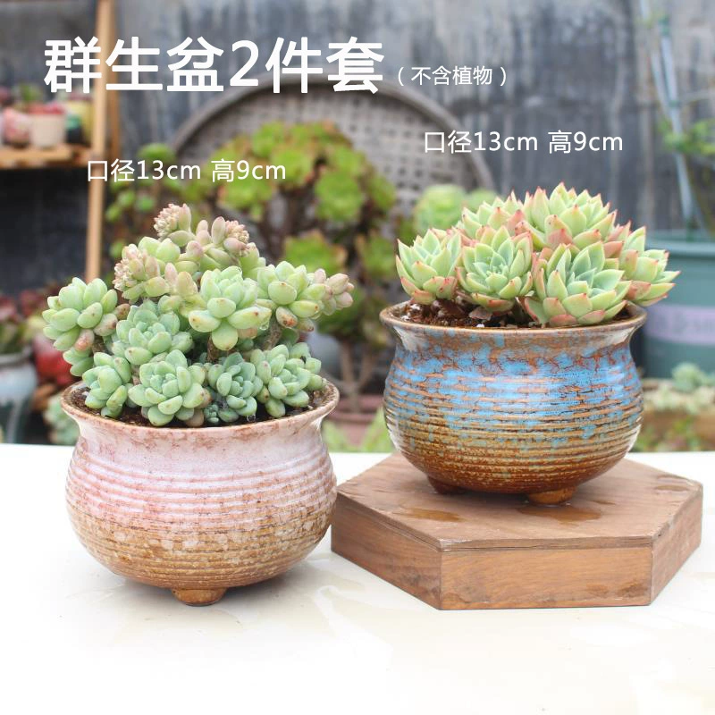 Creative Ceramic Flower Pot, Handmade Factory Direct, Assorted Decorative Designs, Small 7–10 cm