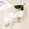 Phalaenopsis Simulation Flower 3D Print 9 Hand -felt Film Wedding Wedding Flower Homorph House Artificial Decoration Flower High -end Fake Flower