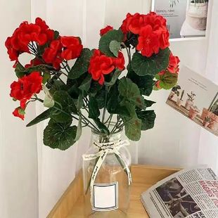 �羳���R�dTemu������N�L���溣�Ļ��ٻ���c�Ҿӿ͏d���ÿ��z��