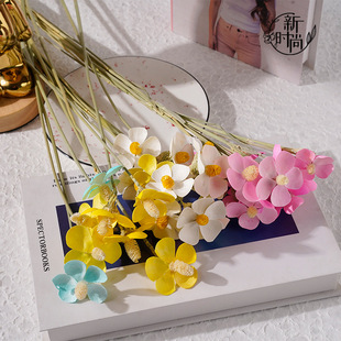 �����ɫ���~��ϵ�����_�m�ɻ��b[������Y�ﻨ���ֹ�DIY����