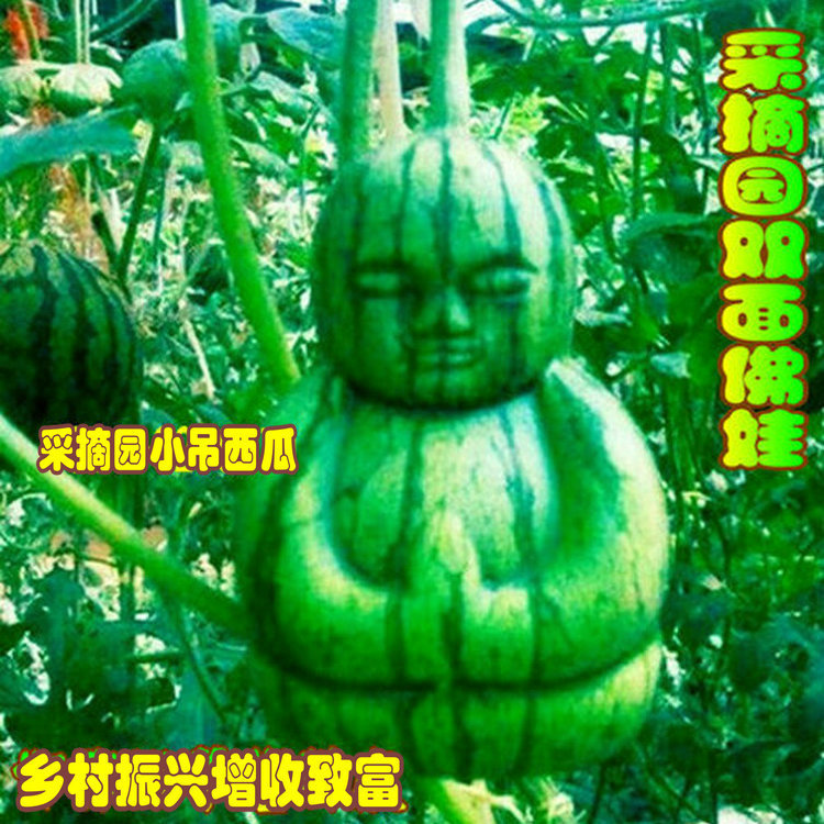 【双面佛娃9公分人参果塑料模具】蔬菜水果模具范制葫芦定型农用