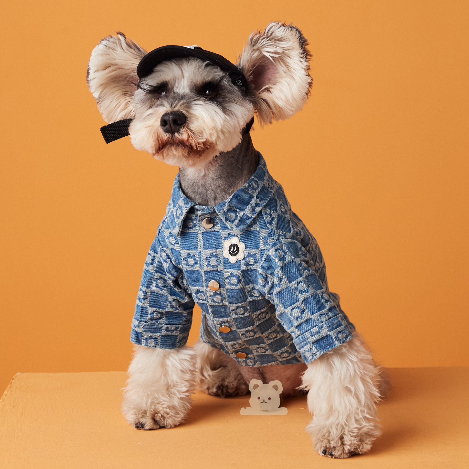 Plush Floral Shirt Teddy Schnauzer Pet Cat Base Image 4