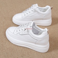 2025＾¿βDNƤ͸СЬŮܛ\Ь