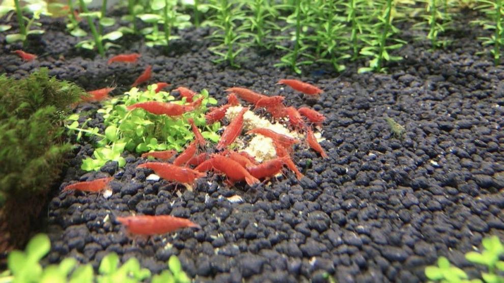 6c482560-4b1f-4f28-8015-a85d2a8b2539.jpe