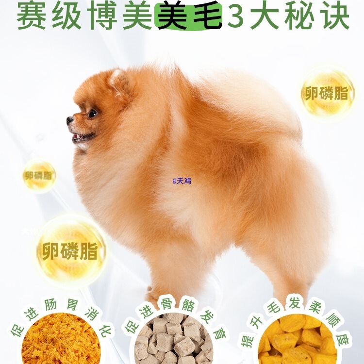 Pomeranian Dog Food Freeze-Dried 5kg Packs for Adult Dogs, Beautiful Hair, Puppies, Calcium Supplement, Small Size Dogss, Light Tear Stains 5, Full Price Food