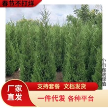 һlؘɰؘuȰ؈Aɘ䌚Ĺ