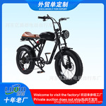 路群锂电自行车厂家直供越野宽胎雪地车双减震变速复古自行车电车