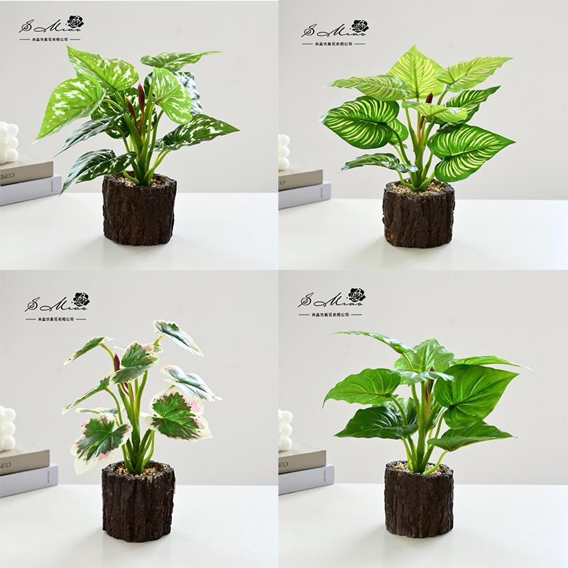 Conjunto de 4 piezas de maceta de cemento verde ☆