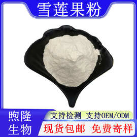 雪莲果粉10:1雪莲果提取物1kg/袋水果粉现货包邮品质保证支持检测