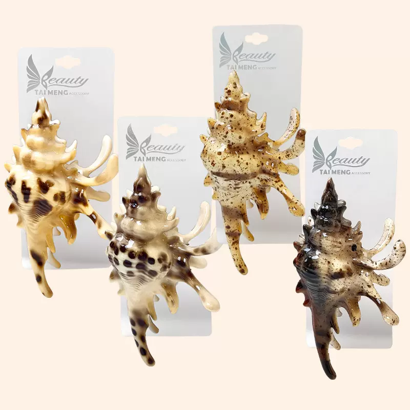 畅销小众创意设计高级感海螺发夹渐变多色抓夹女士鲨鱼夹发饰头饰