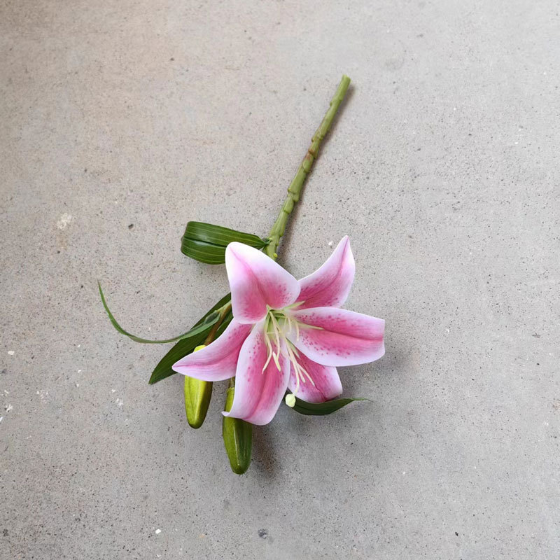 微信图片_20230913102843